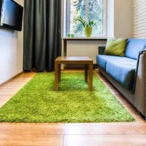 Lime Green Shaggy Rug