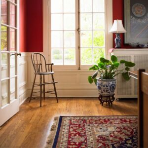 Traditional Area Rug