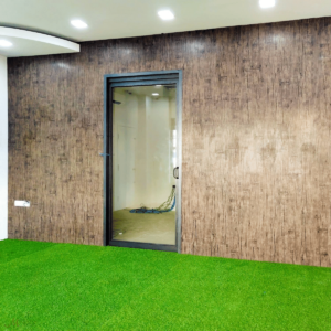 Indoor Hygienic Grass